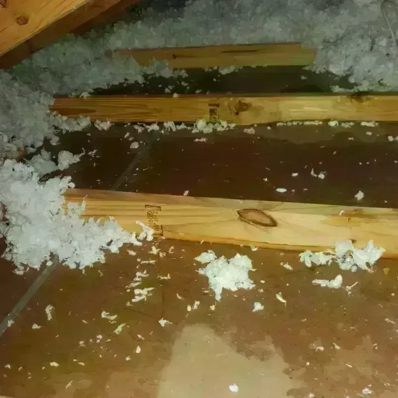 Attic Water Damage in Meadowbrook, CA